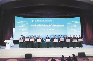 江门新会新闻爆料事件最新,真相揭晓，疑云散去！